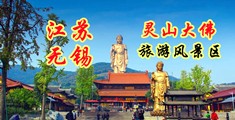 美女草逼免费网站江苏无锡灵山大佛旅游风景区