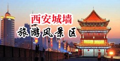 视频骚货操逼中国陕西-西安城墙旅游风景区